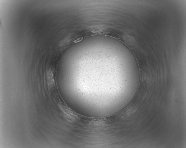 X0000060801106200511171234