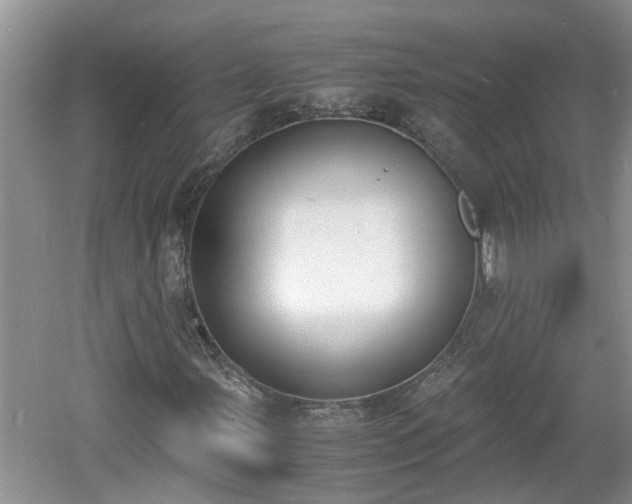 X0000060801107200511171234