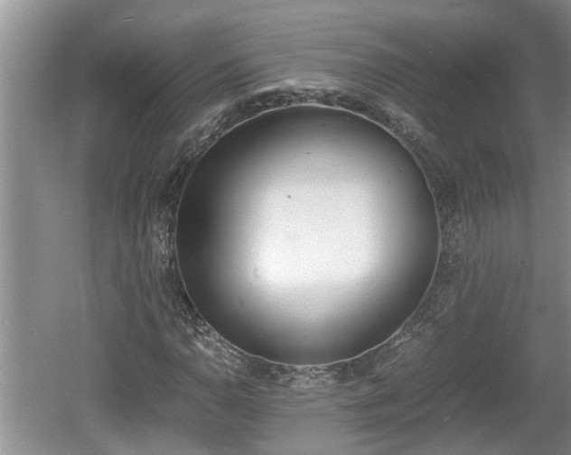 X0000060801110200511171234