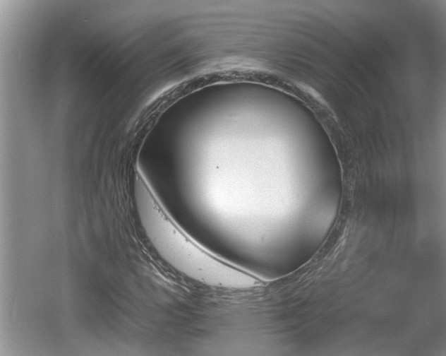 X0000060801112200511171234