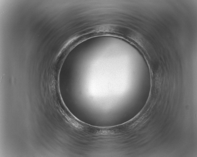 X0000060801115200511171234