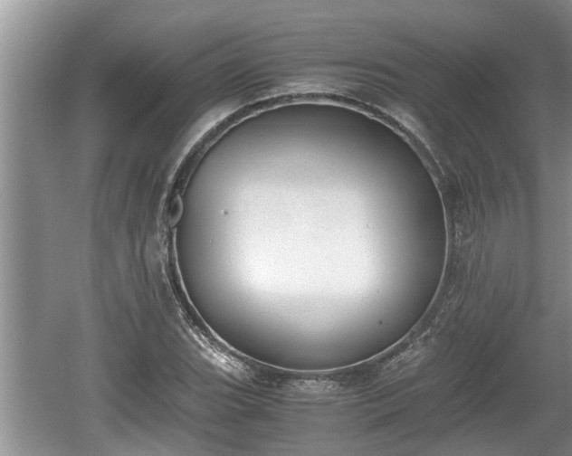 X0000060801119200511171234