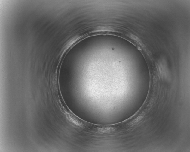 X0000060801129200511171234