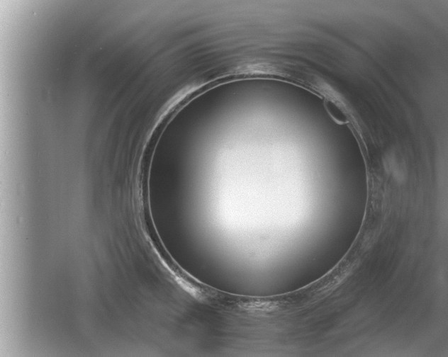 X0000060801141200511171235