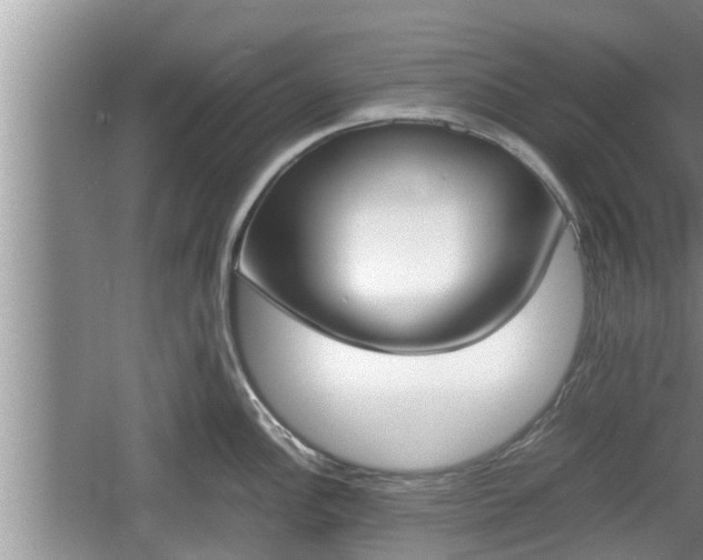 X0000060801148200511171235