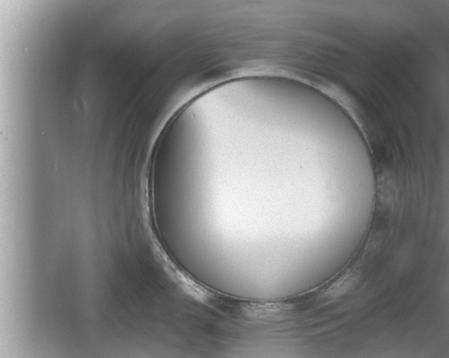 X0000060801150200511171235