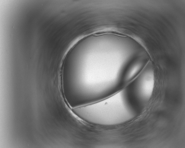 X0000060801151200511171235