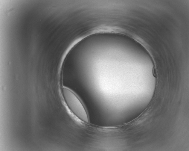 X0000060801152200511171235