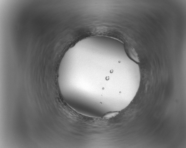 X0000060801153200511171234