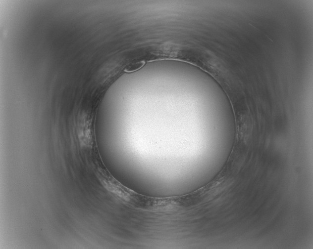 X0000060801154200511171234