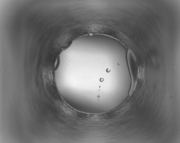 X0000060801155200511171234