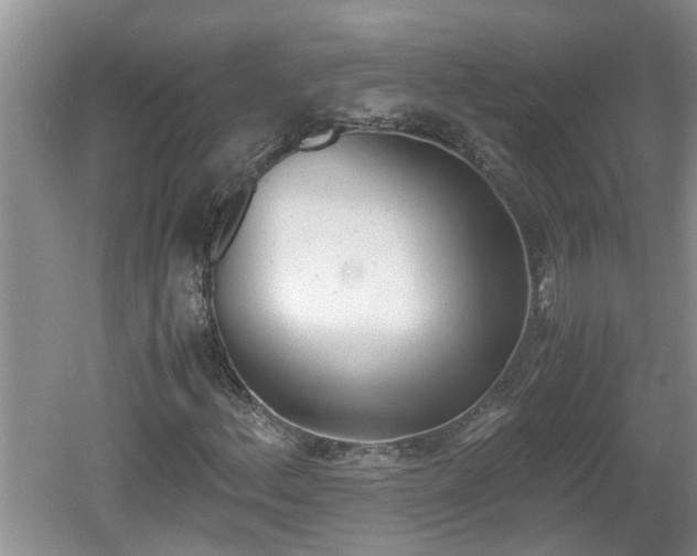 X0000060801156200511171234