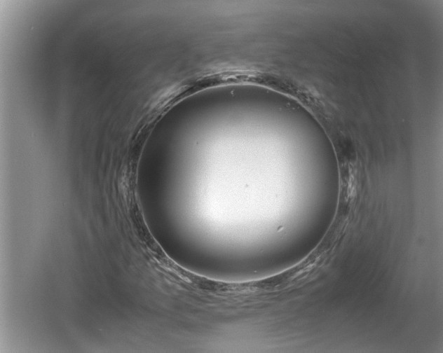 X0000060801157200511171234