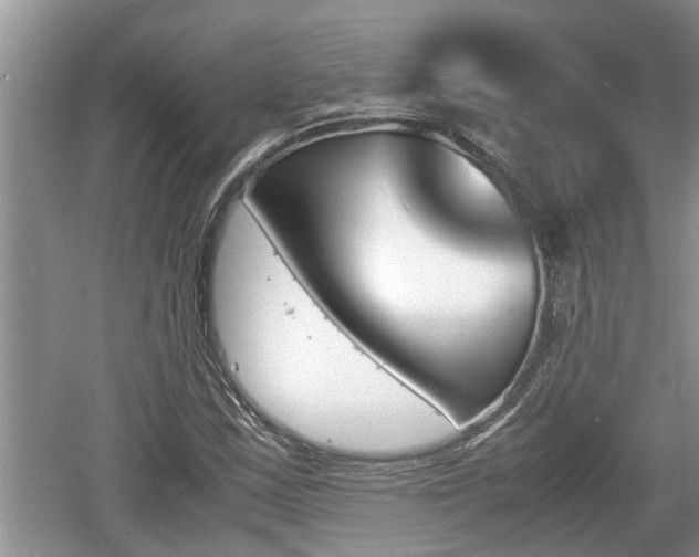 X0000060801163200511171234