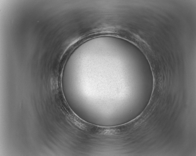 X0000060801166200511171234