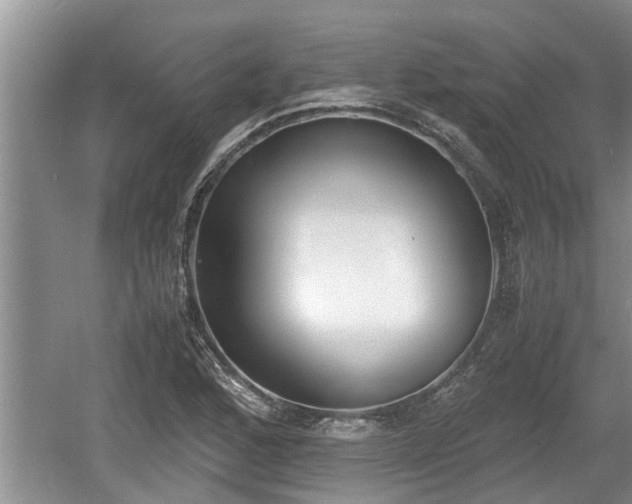 X0000060801168200511171234