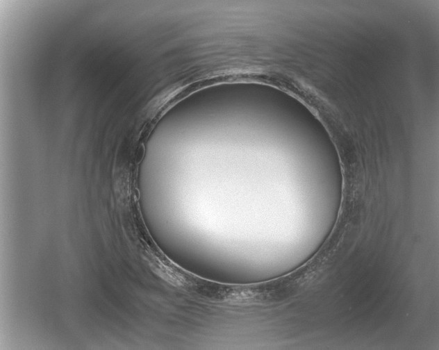 X0000060801169200511171234