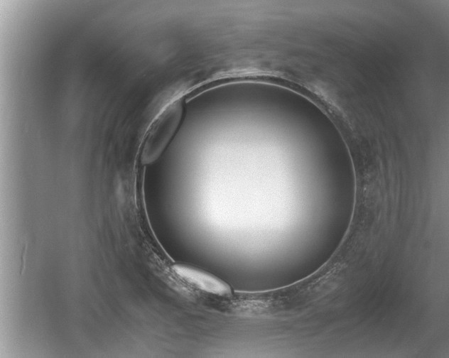 X0000060801173200511171234