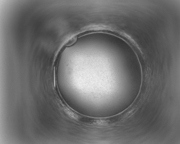 X0000060801175200511171234