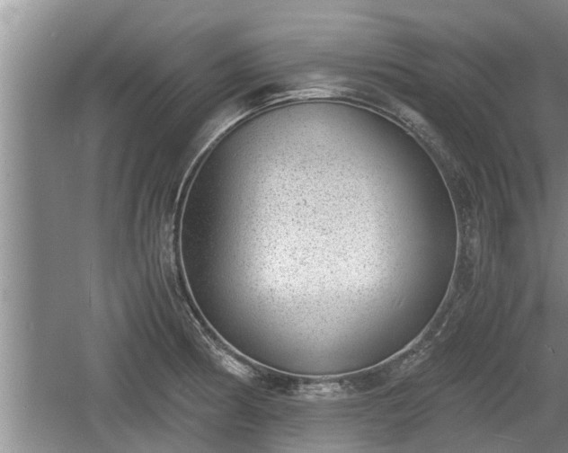 X0000060801186200511171233