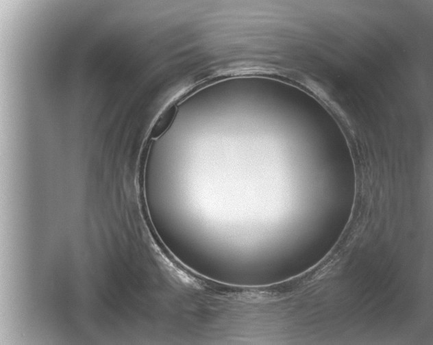 X0000060801189200511171233