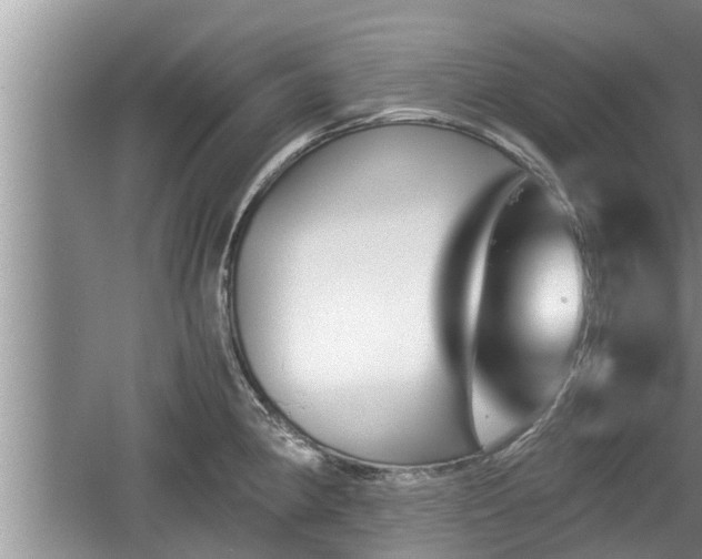 X0000060801190200511171233