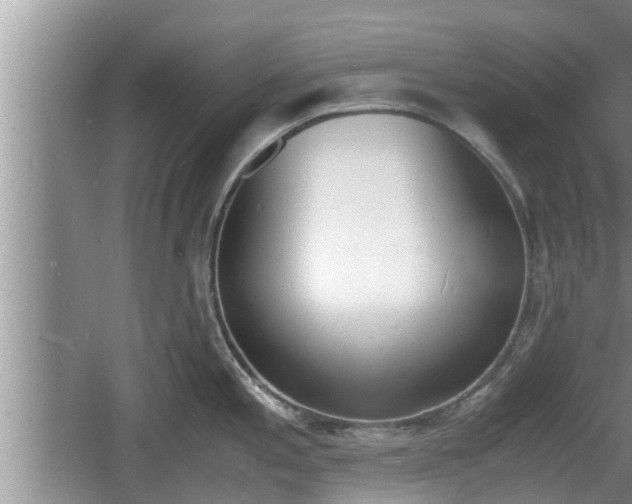 X0000060801197200511171233