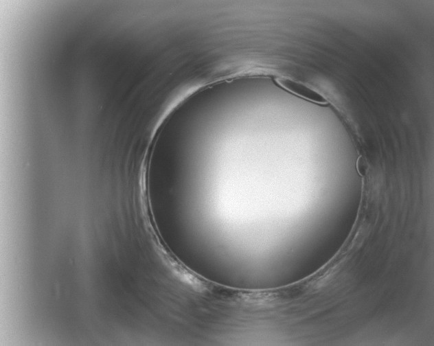 X0000060801198200511171233