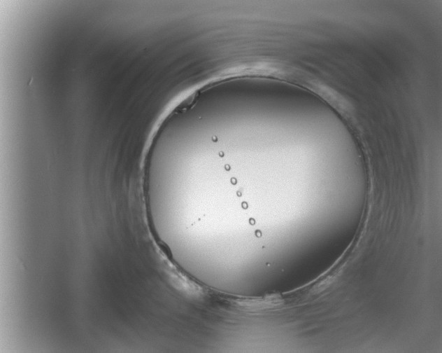 X0000060801200200511171233