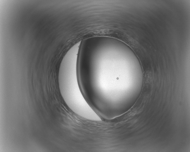 X0000060801202200511171232