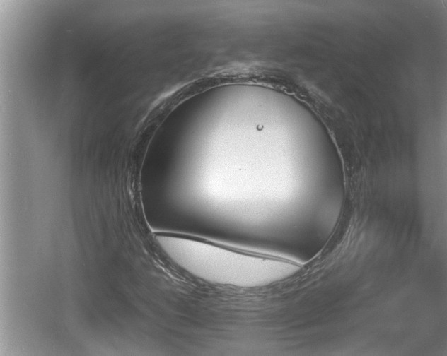 X0000060801206200511171233