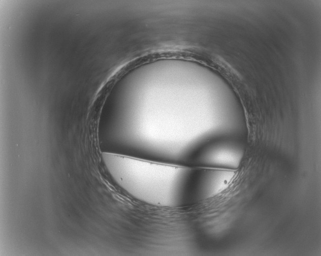 X0000060801208200511171233