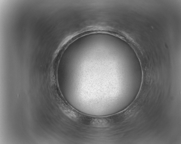 X0000060801215200511171233