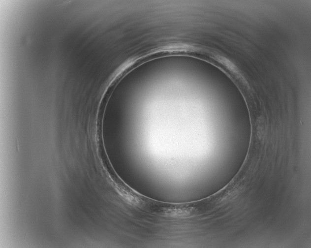 X0000060801229200511171233