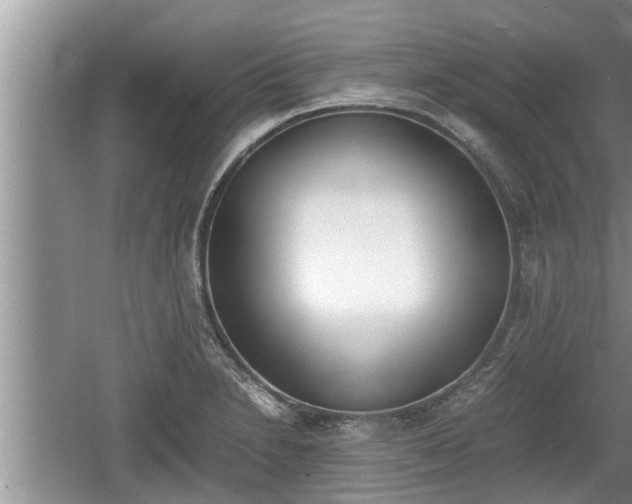 X0000060801230200511171233