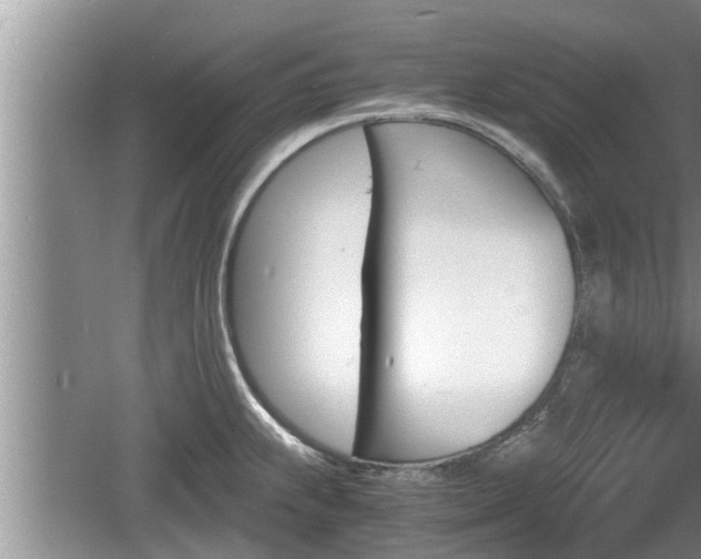 X0000060801239200511171233