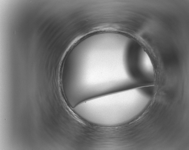 X0000060801240200511171233