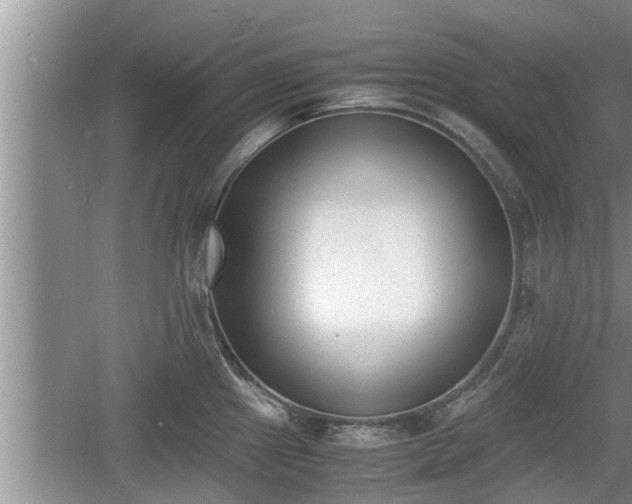 X0000060801241200511171233