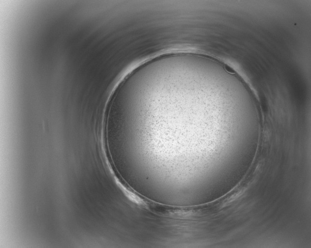 X0000060801245200511171233