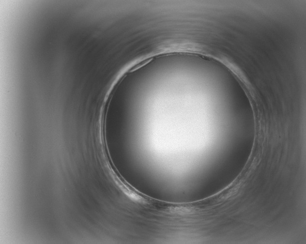 X0000060801246200511171233