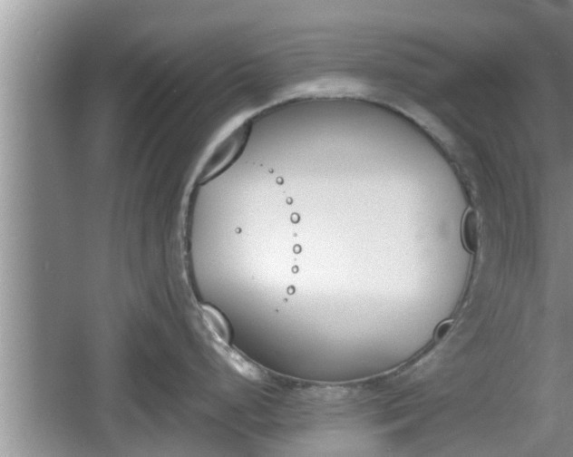 X0000060801248200511171233