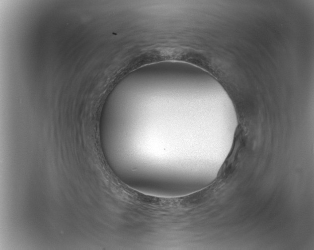 X0000060801249200511171232