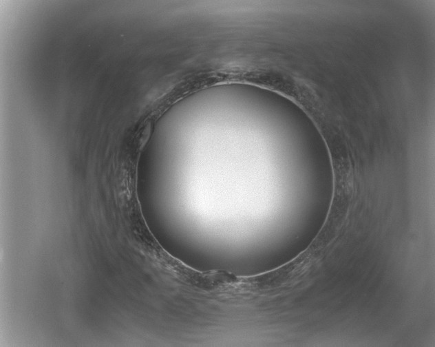 X0000060801253200511171232