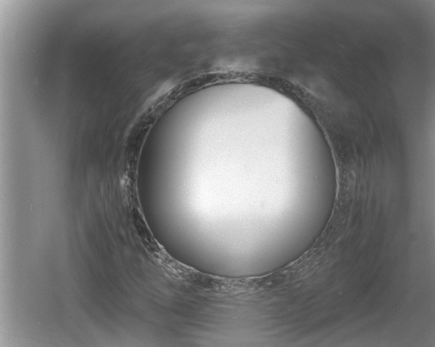 X0000060801254200511171232