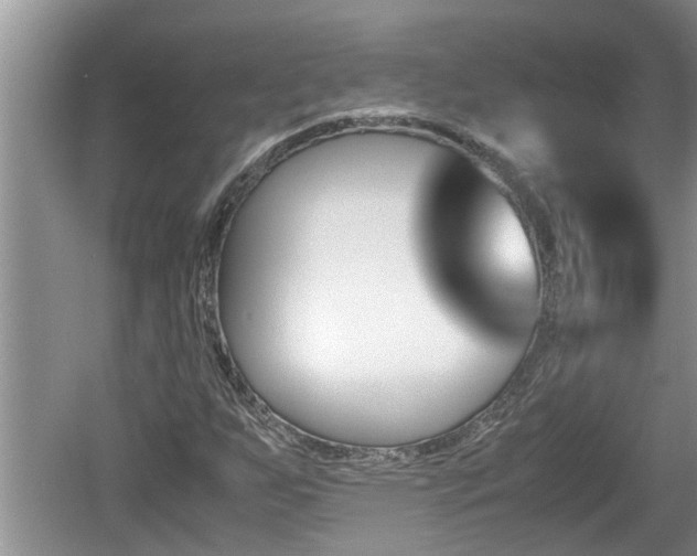 X0000060801255200511171232