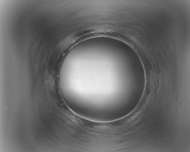 X0000060801257200511171232