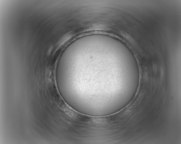 X0000060801258200511171232