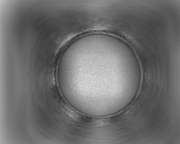 X0000060801262200511171232