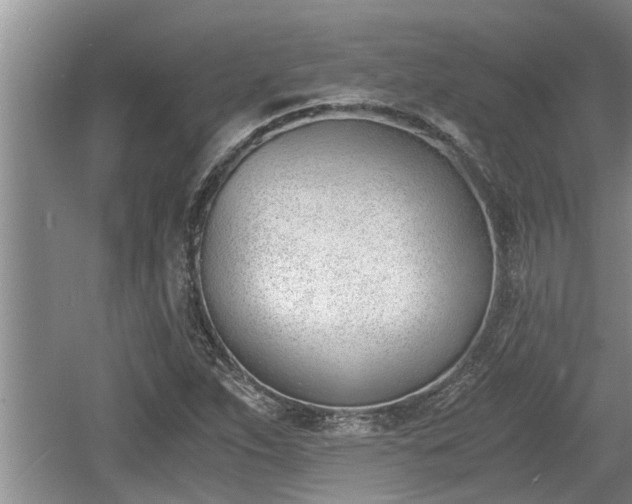 X0000060801263200511171232