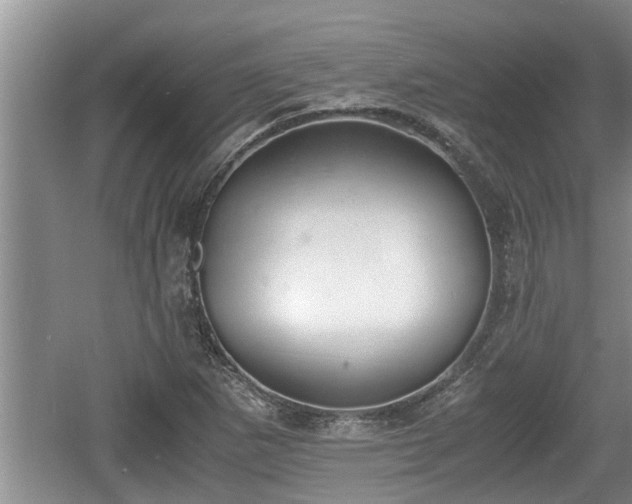 X0000060801265200511171232